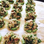 spicy tuna bites on cucumber rounds