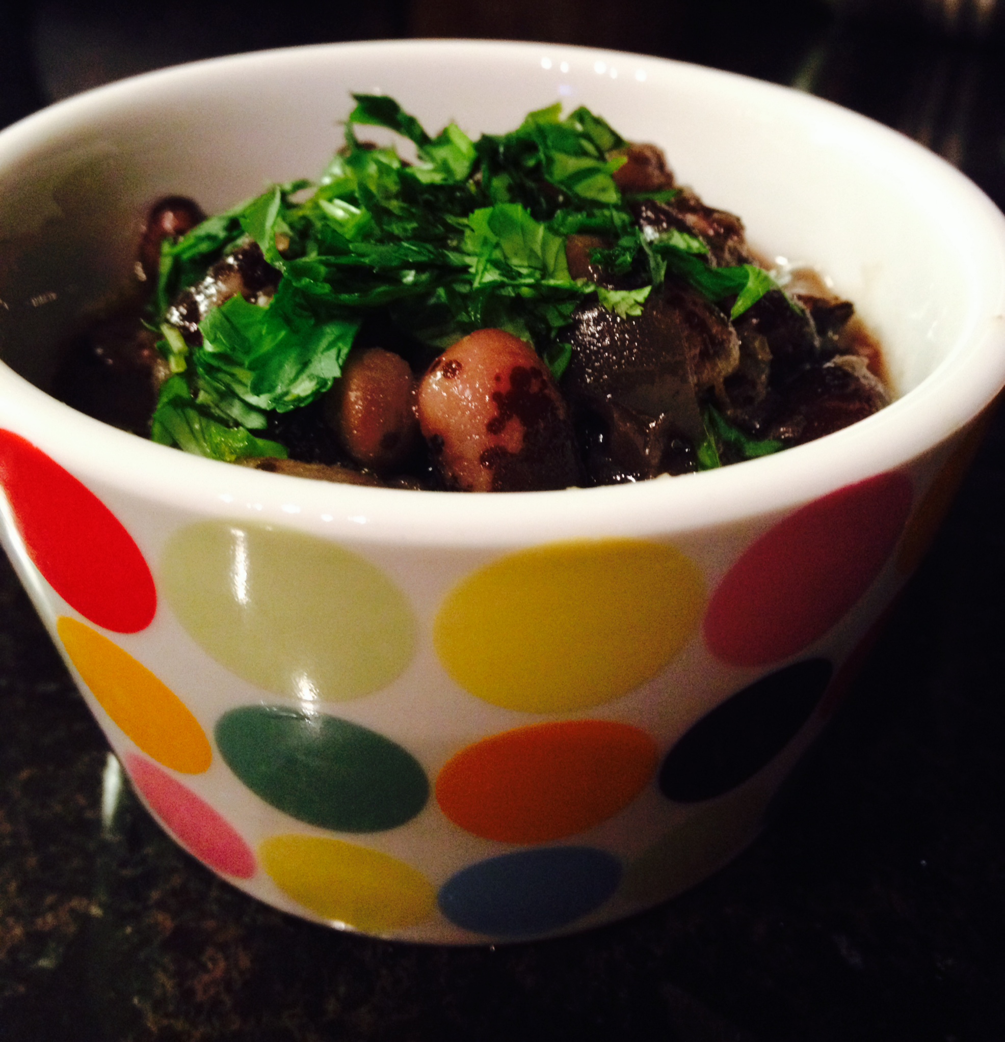 slow cooked vaquero beans with onion, garlic, and oregano :: by radish*rose