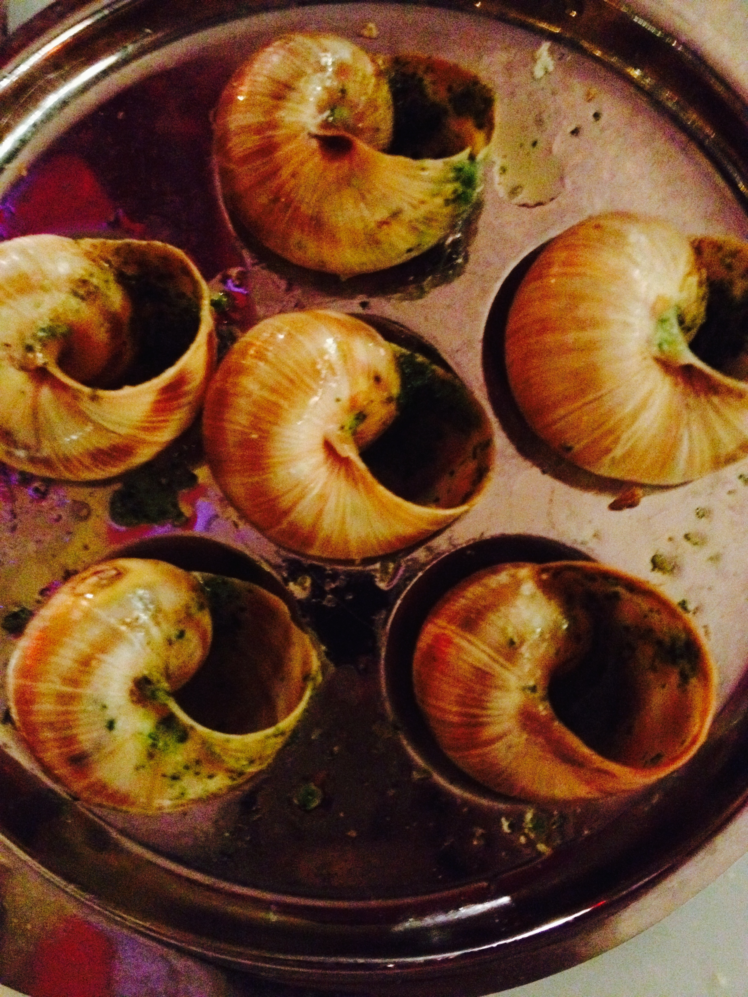 escargot... after we ate them :: radish*rose